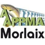 L'AAPPMA de Morlaix, nos plus proches partenaires