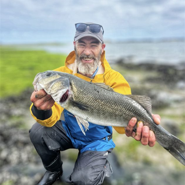 Pêche du bar au leurre en baie de Morlaix Gros bar pêché avec un leurre souple en baie de Morlaix en Finistère